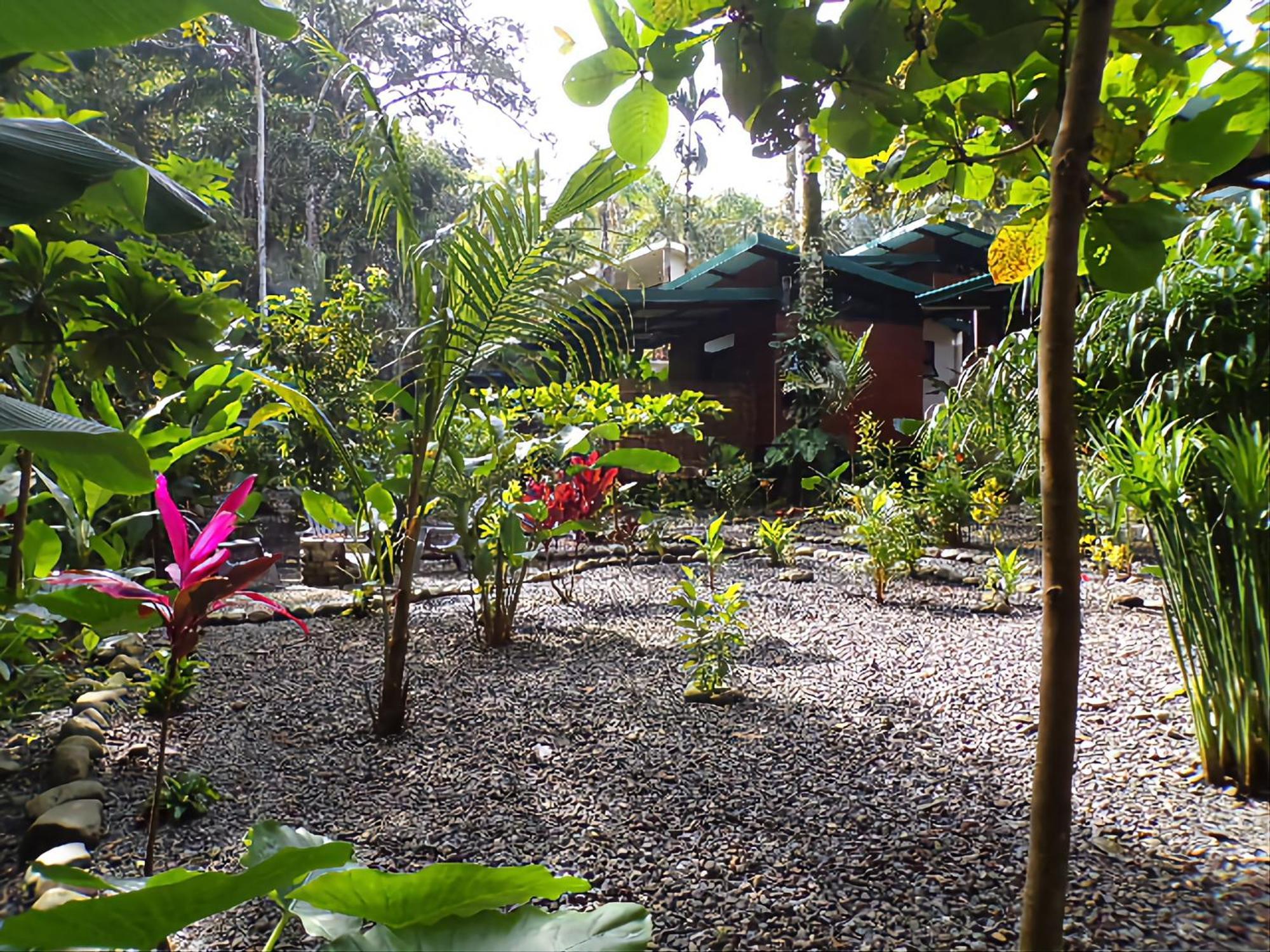 Bed & Breakfast Riverside Manuel Antonio